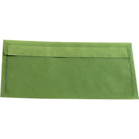 Farbige Briefumschlage Din Lang Ohne Fenster Mit Haftklebung Gunstig Kaufen Schafer Shop