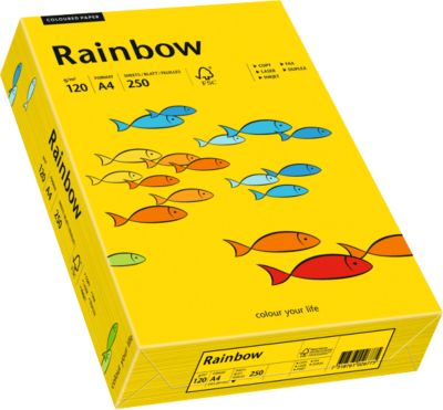 Lot De 25 Feuilles Cartonnées Arc-en-ciel A3 – 160 G/m², 7 Couleurs Vives – Pour Créations Artistiques, Impressions, Bricolage