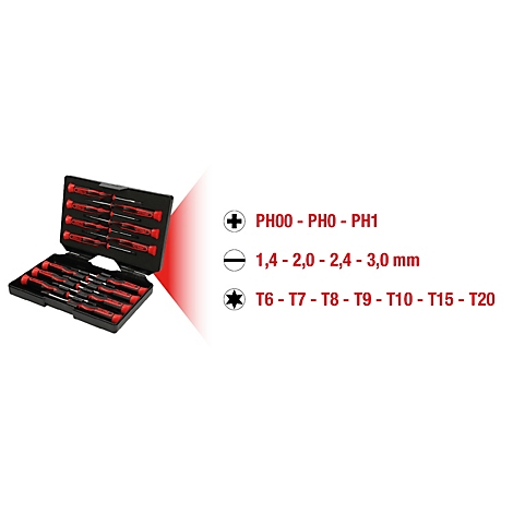Schraubendreher-Set in schwarzem Koffer. Aufschrift: PH00-PH0-PH1, 1,4-2,0-2,4-3,0 mm, T6-T7-T8-T9-T10-T15-T20.