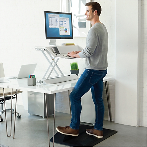 A man works at a height-adjustable desk. He is standing and looking at the monitor. On the right is a pot with a small plant.