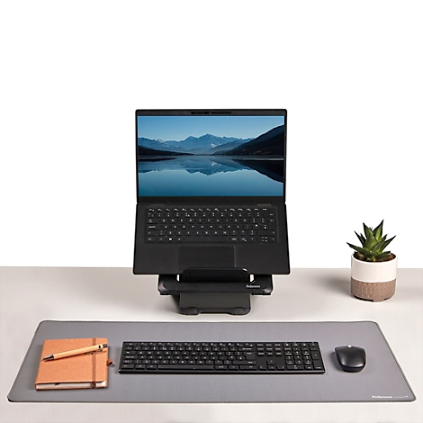 A computer monitor on a riser stand, below a keyboard and mouse, all on a gray mat, a plant beside.