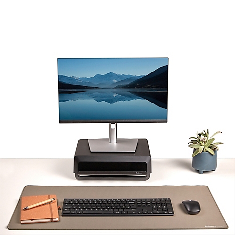 Open notebook with pen on a desk mat. Laptop on laptop stand. Small plant in a pot.