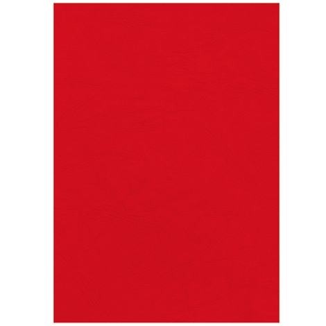 Solid red rectangle.