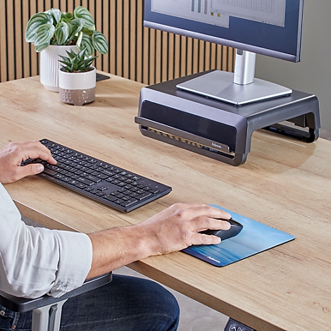 Muispad met blauwe zee en lucht. 'Fellowes' staat onderaan.