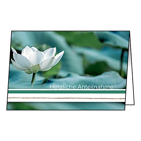 Condolence card with a white lotus flower against a green background. The card reads "Herzliche Anteilnahme".