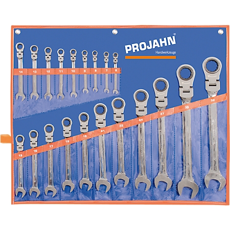 Toolbox with wrenches. Ring ratchet wrenches at the top, ring wrenches at the bottom. PROJAHN inscription.