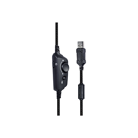 Kabelgebundene Fernbedienung und USB-Anschluss eines Gaming-Headsets mit Lautstärkeregler und Mikrofon-Stummschalter.