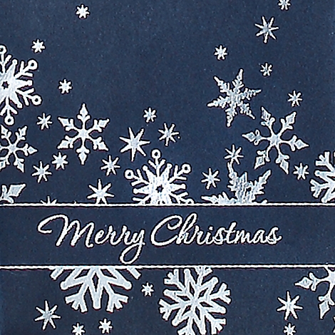 Dark blue card with silver snowflakes and text: Merry Christmas.