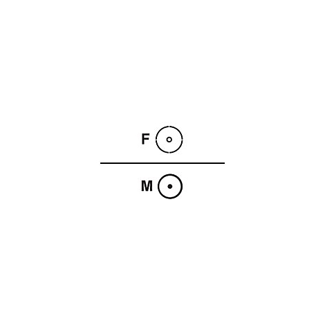 Zwei runde Symbole untereinander. Oben ein Kreis mit F und einem leeren Mittelpunkt, unten ein Kreis mit M und einem Punkt.