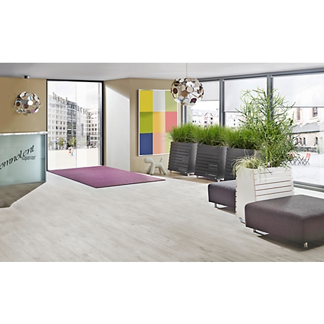 Een heldere, moderne receptie met grote ramen en planten. Er ligt een paars tapijt op de vloer.