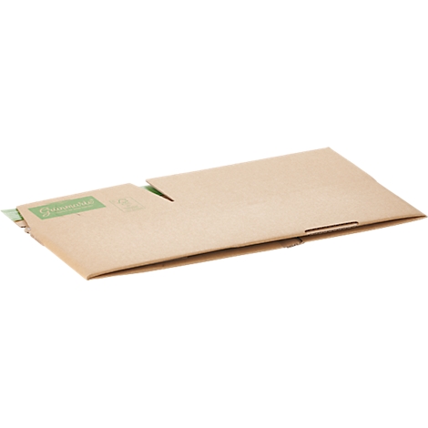 Opened brown cardboard box with green logo. The inside of the box is clearly visible.