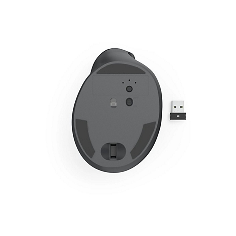 Unterseite einer dunklen, ergonomischen Computermaus mit Ein-Aus-Schalter und daneben liegendem USB-Empfänger.