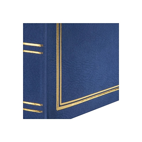 Nahaufnahme eines blauen Bucheinbands mit feiner Lederstruktur und goldenen Zierlinien.