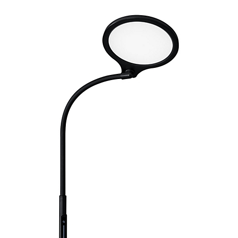 Zwarte vloerlamp met ronde lichtkop, wit licht, slanke arm, op een witte achtergrond.