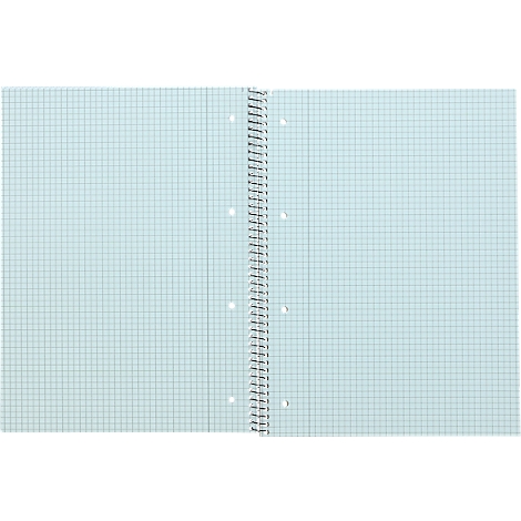 Aufgeschlagenes Notizbuch mit hellblauem karierten Papier und Ringbindung.