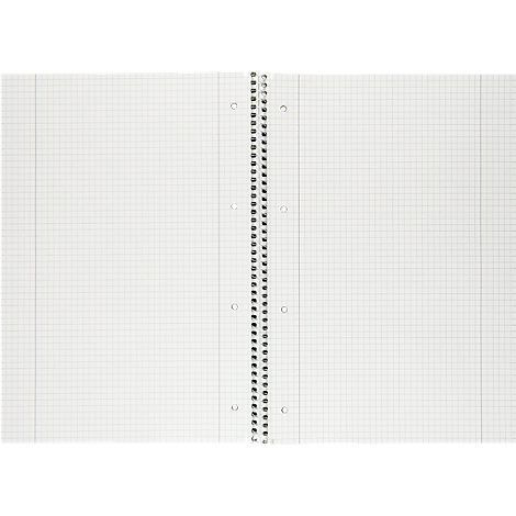 Open spiraalschrift met ruitjespapier en gaatjes langs de zijranden.