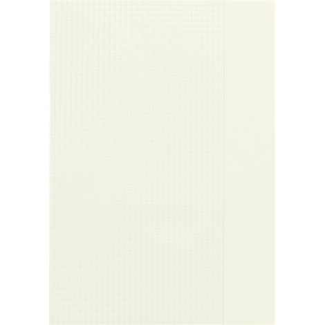 Lichtgekleurd papier met een fijn, lichtgrijs ruitpatroon aan de linkerkant en een brede, lege marge aan de rechterkant.