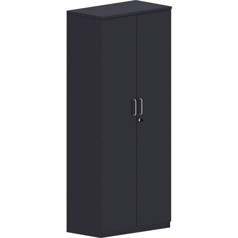 Dark cabinet with two doors, two handles and a keyhole. Upright.