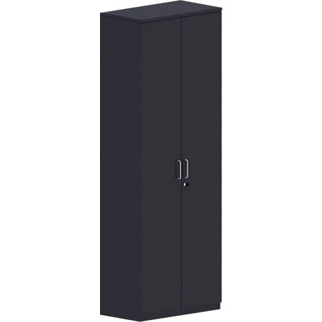 Dark cabinet with two doors, handles and a lock. The perspective is slightly oblique.