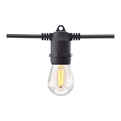 Eine einzelne LED-Glühbirne an einer schwarzen Lichterkette vor weißem Hintergrund.
