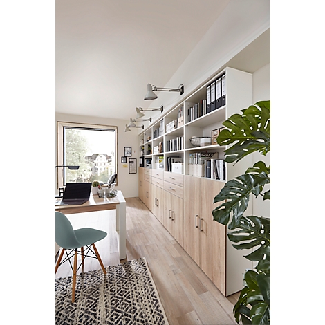 Espace de travail lumineux avec bibliothèque, bureau et plantes.