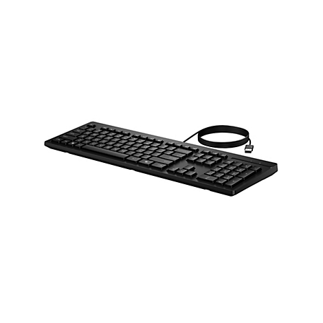 Schwarze kabelgebundene Computertastatur im QWERTZ-Layout mit USB-Anschluss vor weißem Hintergrund.