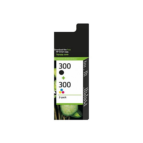 Eine schwarze und eine farbige Tintenpatrone von HP mit der Aufschrift "300". Daneben steht "2-pack".