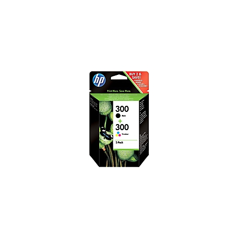 HP-Druckerpatronen, 2er-Pack, mit Text: "300 Schwarz + 300 Farbe".