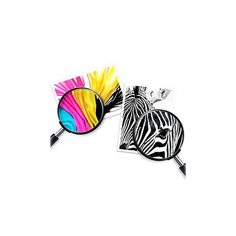 Zwei Bilder, ein Farbmuster und ein Zebra, werden mit Lupe vergrÃ¶ÃŸert.
