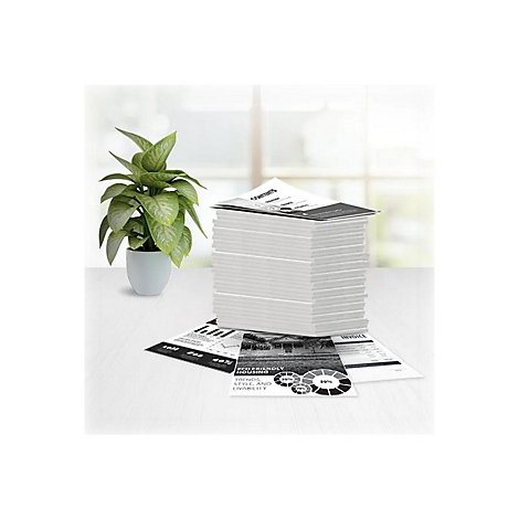 Pile de papier avec des diagrammes et du texte, plante en pot sur une table blanche.