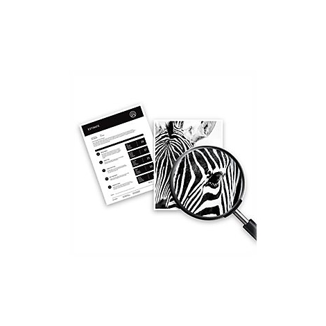 Portrait de zèbre sous une loupe, à côté d'un document avec du texte. Le tout en noir et blanc.