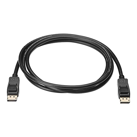 Schwarzes DisplayPort-Kabel mit Steckern an beiden Enden; Textdetails sind lesbar.