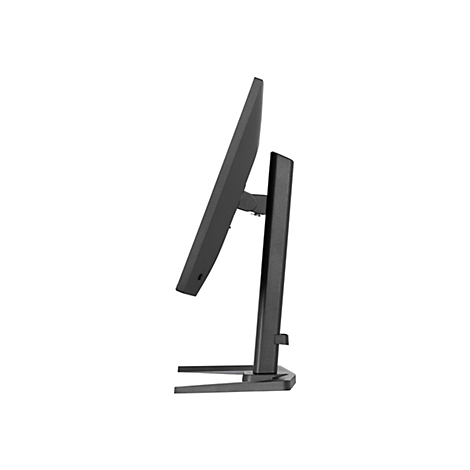 Ein schwarzer Monitor im Profil. Der Bildschirm ist leicht geneigt und auf einem Standfuß montiert.