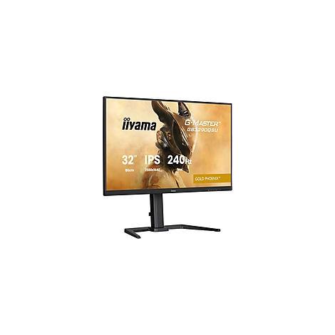 Schwarzer iiyama-Monitor mit einem Bild von einer goldenen Figur im Hintergrund. Bildschirmdetails: 32 Zoll IPS 240Hz.