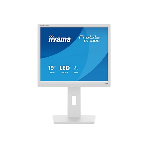 Moniteur blanc Iiyama ProLite B1980S avec un écran bleu. Sur l'écran: marque, nom du modèle et spécifications.
