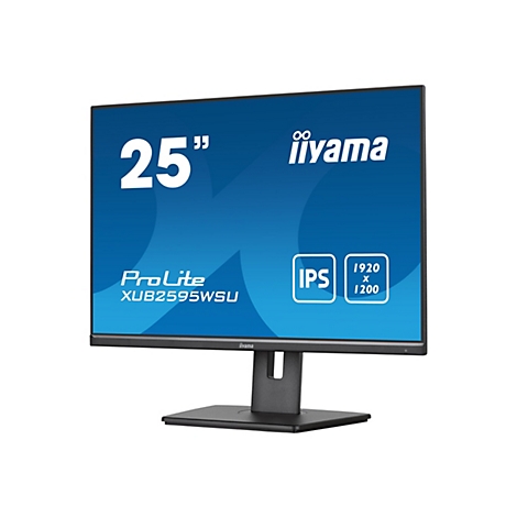 Schwarzer iiyama ProLite Monitor mit 25 Zoll Bildschirm. Aufschrift: IPS, 1920x1200.