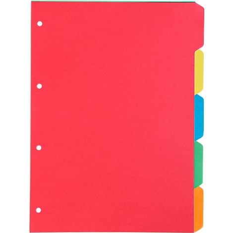 Índice de cartón Schäfer Shop Select, paquete de 1, 4 perforaciones, cartón reciclado de 160 g/m², 5 piezas