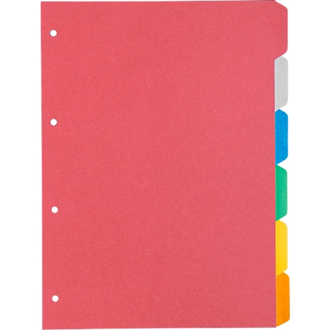 Índice de cartón Schäfer Shop Select, paquete de 1, 4 perforaciones, cartón reciclado de 160 g/m², 6 piezas
