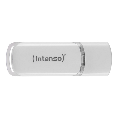 Weißer USB-Stick mit abgerundeten Kanten, darauf steht „(Intenso)“.
