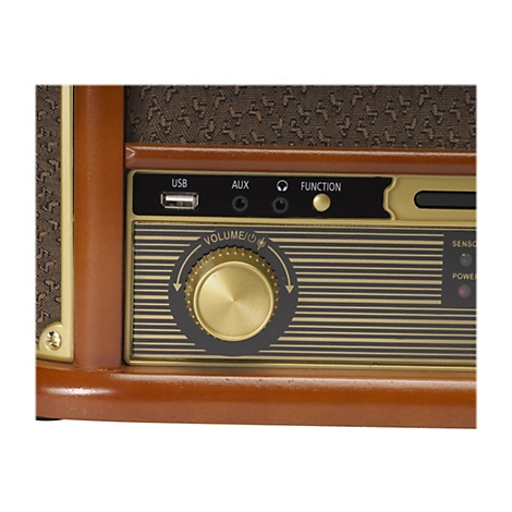 Nahaufnahme eines Retro-Radios mit goldenem Lautstärkeregler, USB-Anschluss und Kopfhörerbuchse in einem Holzgehäuse.