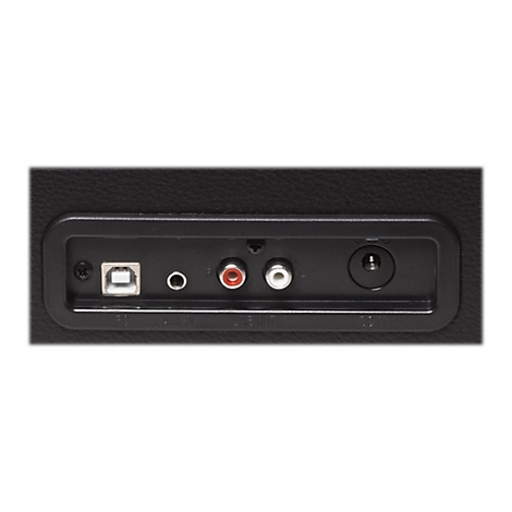 Anschlussfeld eines Geräts mit USB, AUX, Cinch und DC-In Anschlüssen vor schwarzem Hintergrund.