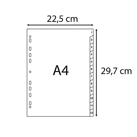 Feuille au format A4 avec onglets numérotés et dimensions en cm. Trous sur le côté gauche pour le classement.
