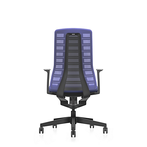 View of the back of an office chair. It has a black frame, a purple backrest and armrests.