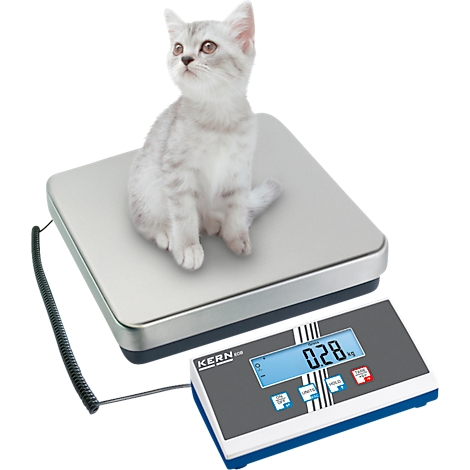 Un chat est assis sur une balance, affichant 0,28 kg. La balance a un boîtier rectangulaire avec un affichage numérique.