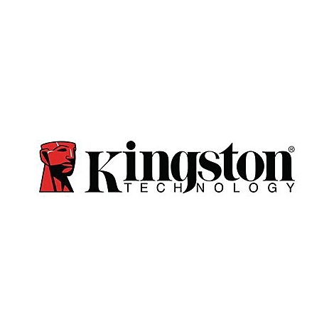 Logo de Kingston Technology. Tête rouge à gauche, lettrage noir 'Kingston TECHNOLOGY' à droite.