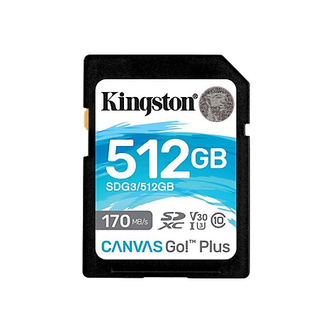 Schwarze Kingston SD-Karte mit weißem Aufdruck. Aufschrift: 512GB, Canvas Go! Plus, 170 MB/s.