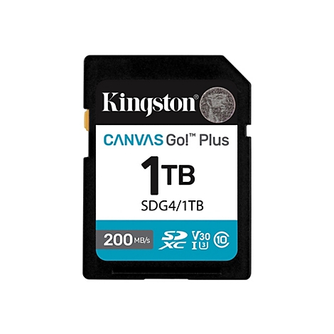 Une carte SD noire Kingston avec du texte blanc. Le texte se lit comme suit : 'Kingston CANVAS Go! Plus 1TB'. Vous trouverez ci-dessous d'autres informations, telles que la vitesse.