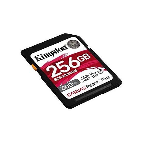 Carte SD Kingston noire avec impression blanche, avec 256 Go en dessous. Inscription Canvas React Plus Ã  droite.