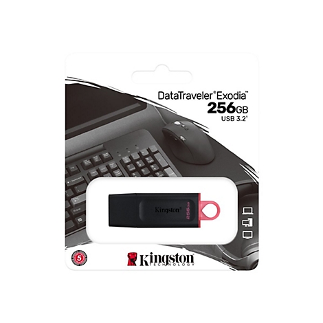 ClÃ© USB Kingston DataTraveler Exodia dans son emballage. ClÃ© noire avec boucle rouge, 256 Go. ImprimÃ© : logo Kingston, 5 ans de garantie.