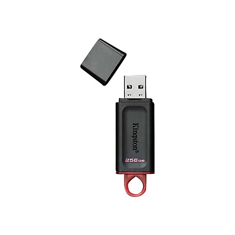 Schwarzer USB-Stick, Kappe daneben. Aufschrift: Kingston, 256GB.